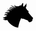 High Hope Stables