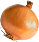 Onion Onion Group Thumbnail