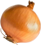 Onion Onion Group Thumbnail