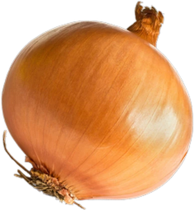 Onion Onion Roblox group icon