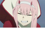 1Animaxs
