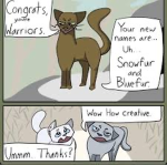 [+]WARRIOR CATS FAN CLUB[+]