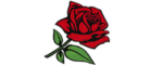 The Flower State