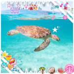 - | Lia’s Loves! | -