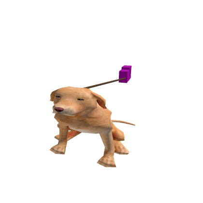walk the dog