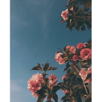 awita rblx