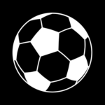 Soccer Maxxing