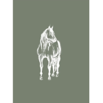 *| Meadow Feild Stables |*