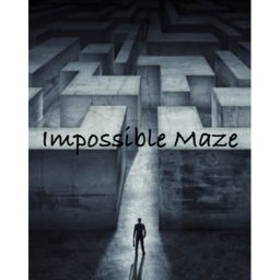 IMPOSSIBLE MAZE (NEW)
