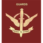 Stop messing With My Boi JaredVAlLDEZ (THE GUARDS)