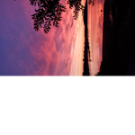 Sunset boys