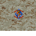 +_3rd Battalion, 3rd Marines_+