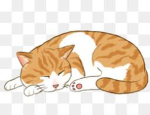 ButterScotch Cat Community!