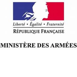Armée Francaise  icon