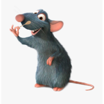 The Versace Rats
