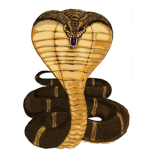 COBRA tactical team