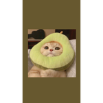Ubhibknnxnnxjxxh