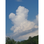 the wonders of Nature
