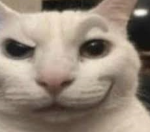 Operation task force