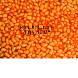 Bean Military Traning