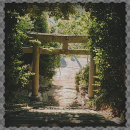 楽しい