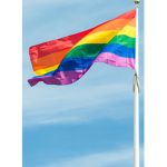 THE LGBTQ+ PRIDE COMMUNITY