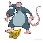 Rat Culture (R)