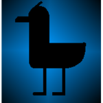 Seagull-Like Clothing ©