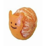 The swag snails