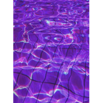.F.O.E
