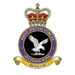Special Aviation Wing