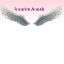 Surprise Angels Gymnastics's