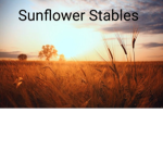[SS] Sunflower Stables!~