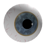 Bluesteel Eye