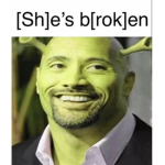 NICEDAMN