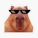 Capybara Grinders
