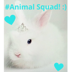 #Animal Squad! :)