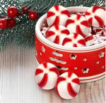 •~ KIBBLE’S PEPPERMINT SHOP! ~•