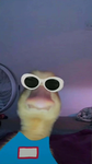 ducky's realm :D