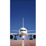 Planes are cool and big