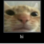 hi guys (hi guys)