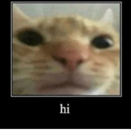hi guys (hi guys) Roblox group icon