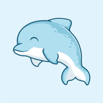 DolphinsSquad