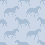 Star equestrians1234