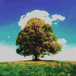 lone_tree