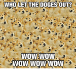 Poodle and Doge