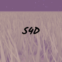 S4D