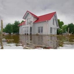 the floor is flood icon