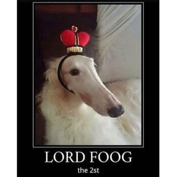 join for literally nothing 