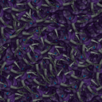 ] 4 [